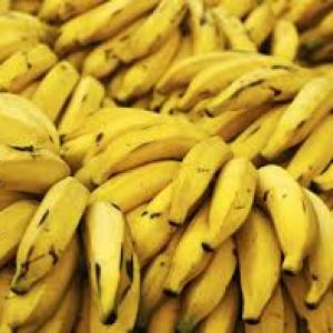 Banana local Bulk