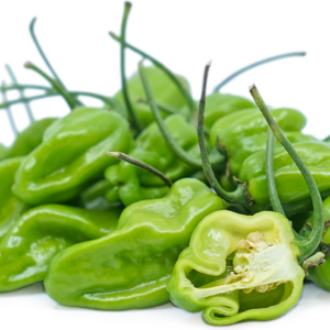 Fresh Green Peppers