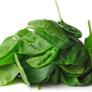 Fresh Spinach