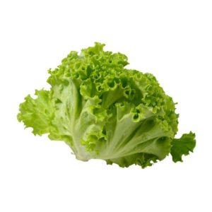 Fresh Lettuce