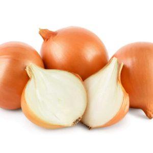 Onion Holland